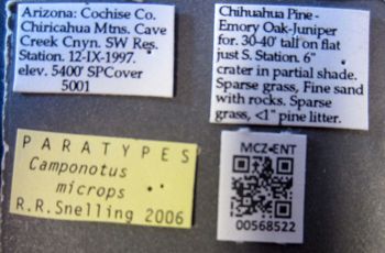 Media type: image;   Entomology 568522 Aspect: labels
